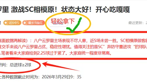 中国男篮三人组不敌波兰，张宁贡献9分5篮板